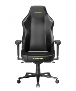 DXRacer OH/LMT24LTA/N.N.Y компьютерное кресло