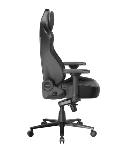 DXRacer OH/LMT24LTA/N.N.Y компьютерное кресло