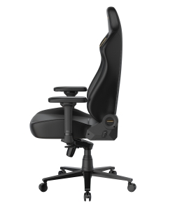 DXRacer OH/XLMT24LTA/N.N.Y компьютерное кресло