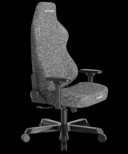 DXRacer OH/XXLTM23FBE/G компьютерное кресло