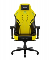 DXRacer GC/LMT24LTA/PIONEERMECH.NY компьютерное кресло